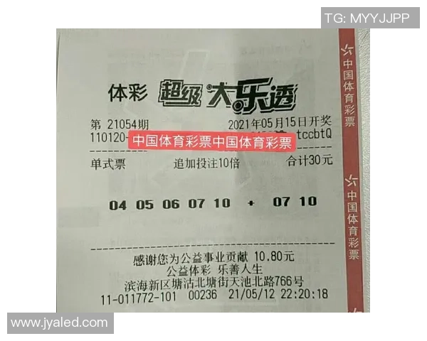 西安排球队的奋斗历程与洲际杯荣耀之路的特别报道